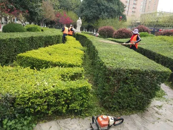 别墅客厅前室园林景观设计